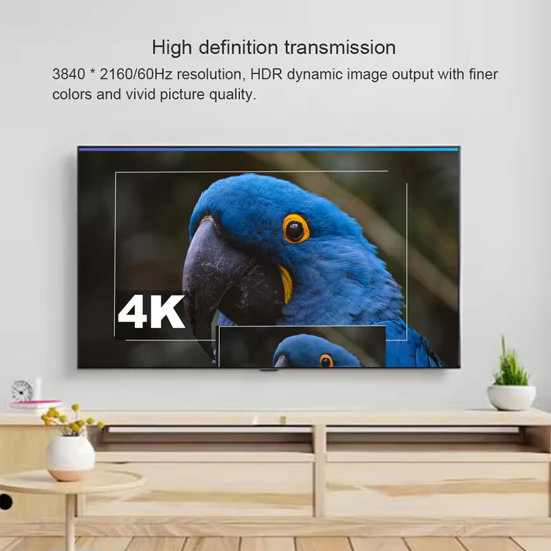 4K 60Hz DisplayPort To HDMI Ex - Hdmi Cable 评论和价格
